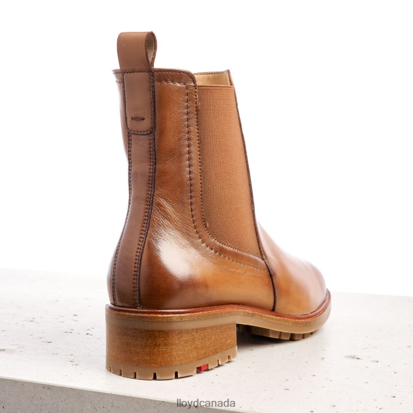 smooth leather slip-on ANKLE BOOTS LLOYD Women brown R084ZF964 Shoes