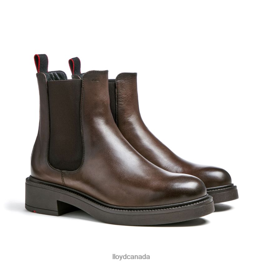 sporty smooth leather ANKLE BOOT LLOYD Women brown R084ZF893 Shoes