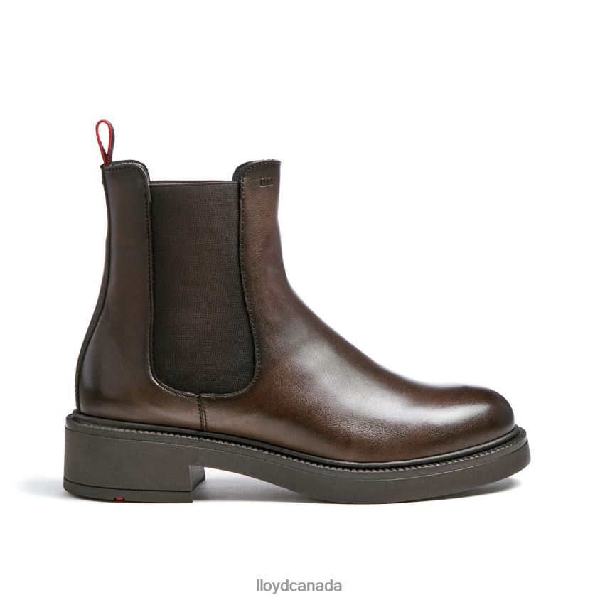 sporty smooth leather ANKLE BOOT LLOYD Women brown R084ZF893 Shoes