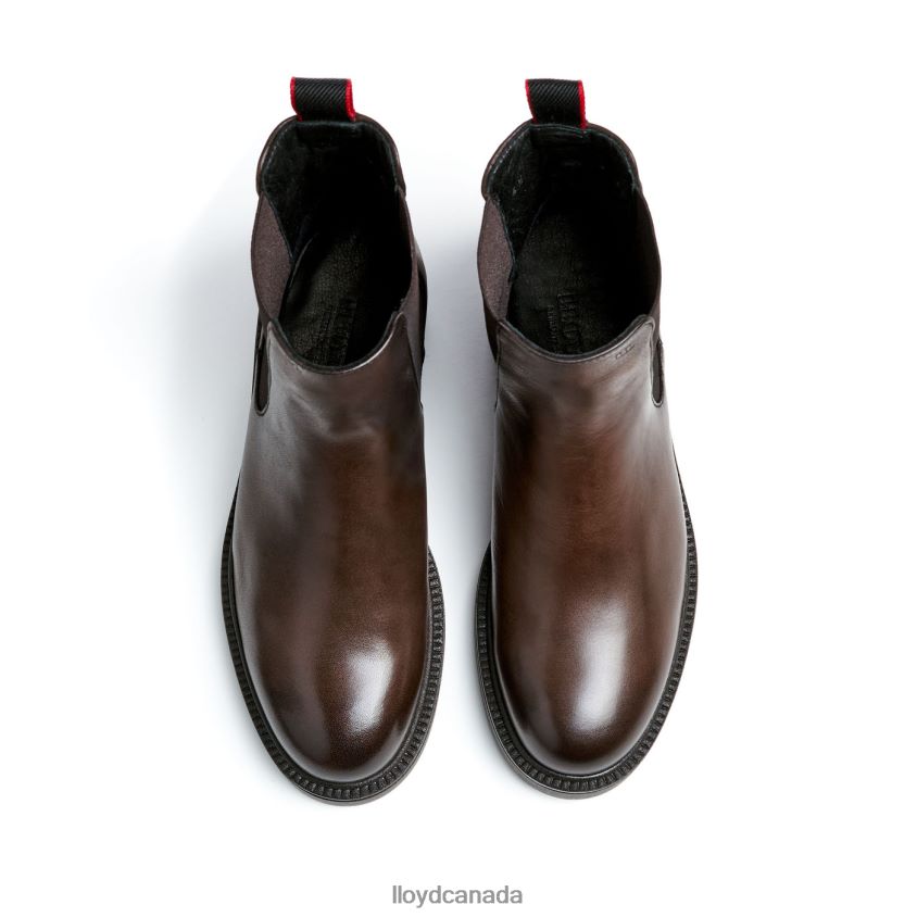 sporty smooth leather ANKLE BOOT LLOYD Women brown R084ZF893 Shoes
