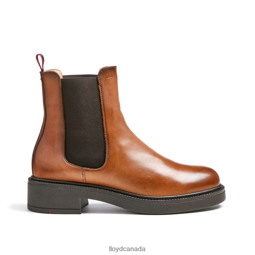 sporty smooth leather ANKLE BOOT LLOYD Women brown R084ZF894 Shoes
