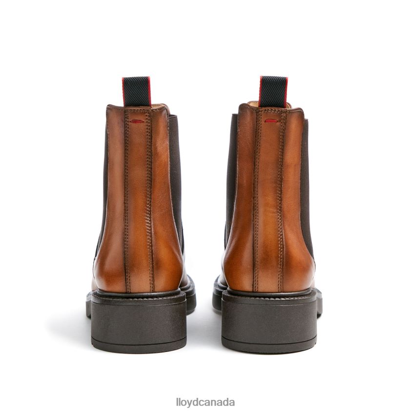 sporty smooth leather ANKLE BOOT LLOYD Women brown R084ZF894 Shoes