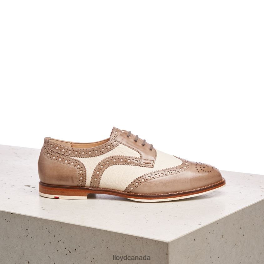 LACE LEATHER HALF SHOES LLOYD Women beige R084ZF1065 Shoes