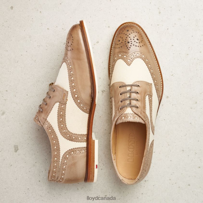 LACE LEATHER HALF SHOES LLOYD Women beige R084ZF1065 Shoes