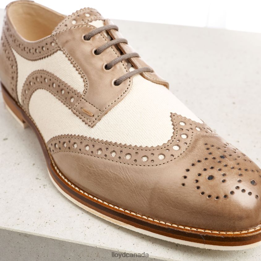 LACE LEATHER HALF SHOES LLOYD Women beige R084ZF1065 Shoes