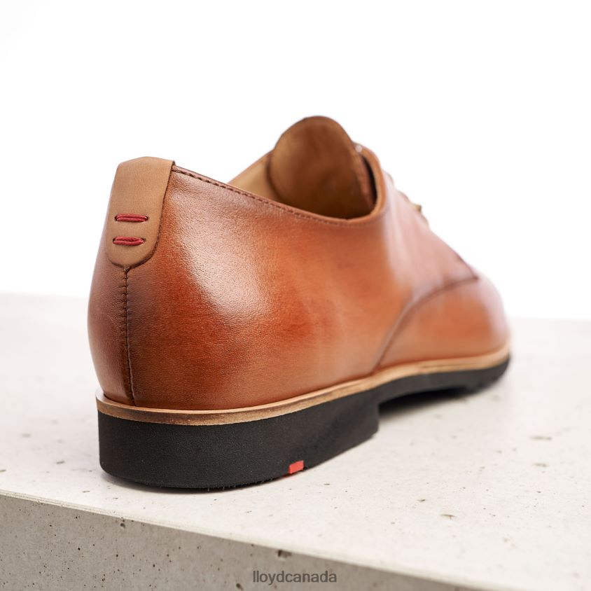 LACE LEATHER HALF SHOES LLOYD Women brown R084ZF1057 Shoes