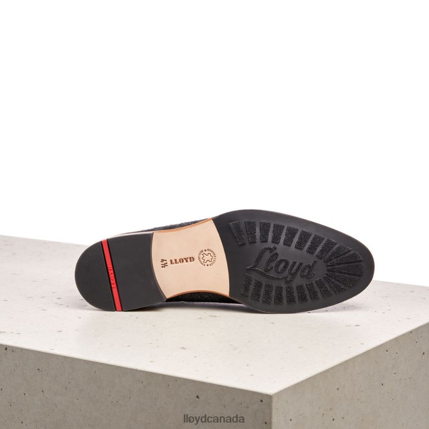 LACE SMOOTH LEATHER HALF SHOES LLOYD Women black R084ZF1076 Shoes