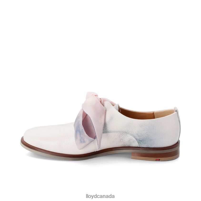 LACE SMOOTH LEATHER HALF SHOES LLOYD Women combined R084ZF1179 Shoes