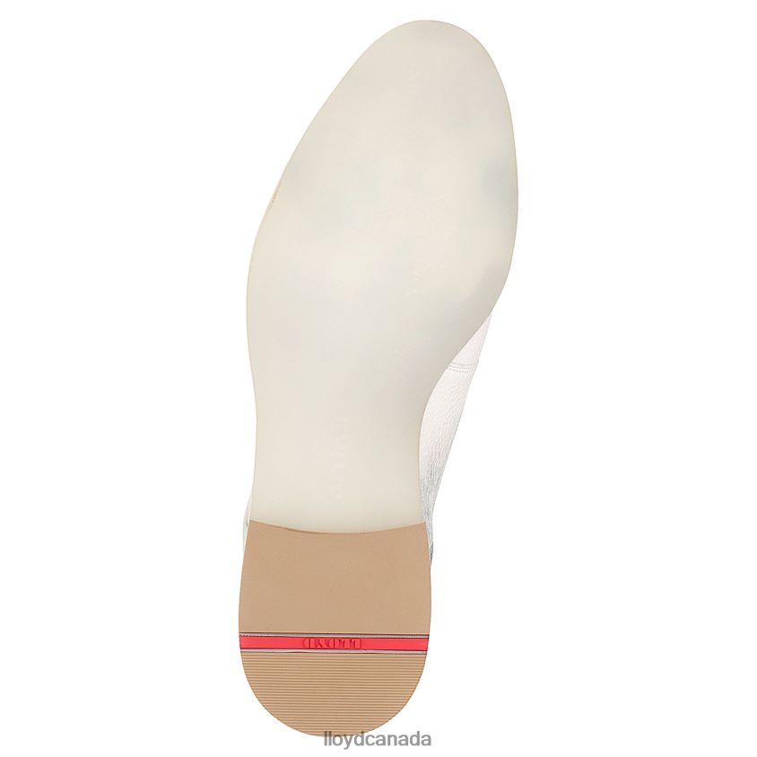 LACE SMOOTH LEATHER HALF SHOES LLOYD Women combined R084ZF1179 Shoes