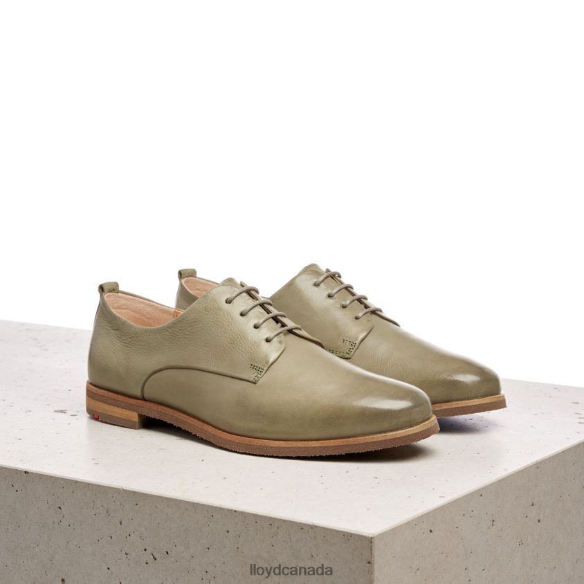 LACE SMOOTH LEATHER HALF SHOES LLOYD Women green R084ZF1098 Shoes