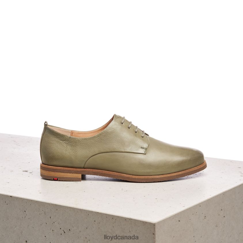 LACE SMOOTH LEATHER HALF SHOES LLOYD Women green R084ZF1098 Shoes