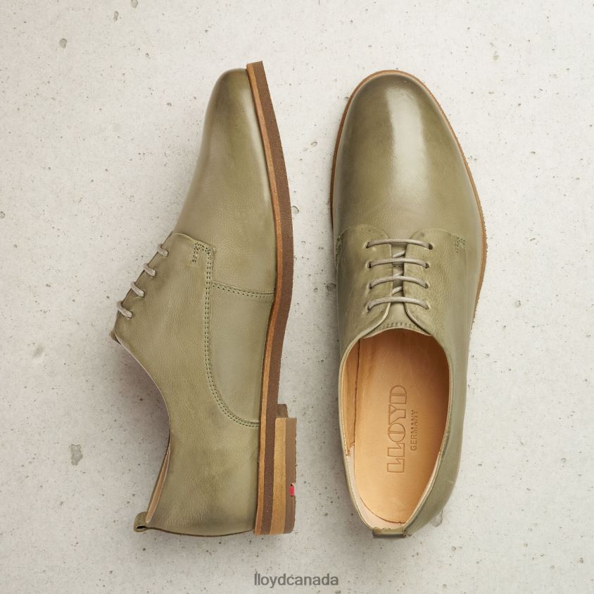 LACE SMOOTH LEATHER HALF SHOES LLOYD Women green R084ZF1098 Shoes