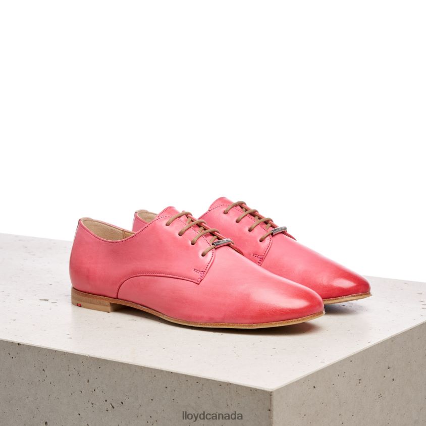 LACE SMOOTH LEATHER HALF SHOES LLOYD Women pink R084ZF1093 Shoes