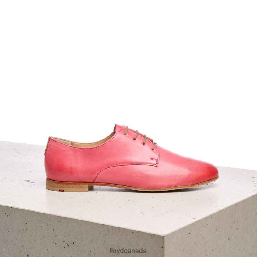 LACE SMOOTH LEATHER HALF SHOES LLOYD Women pink R084ZF1093 Shoes