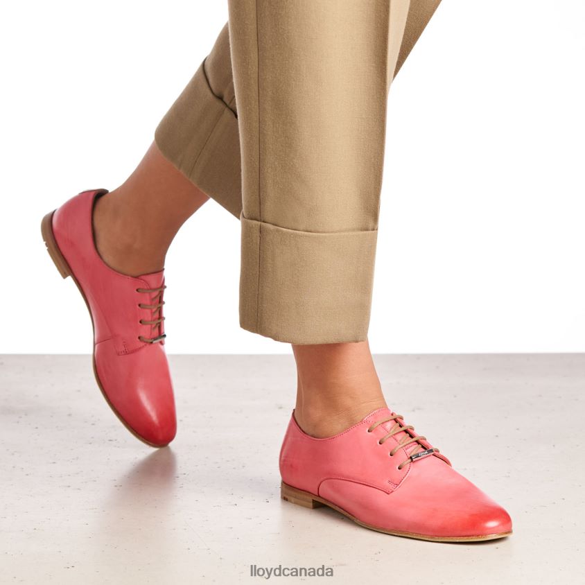 LACE SMOOTH LEATHER HALF SHOES LLOYD Women pink R084ZF1093 Shoes
