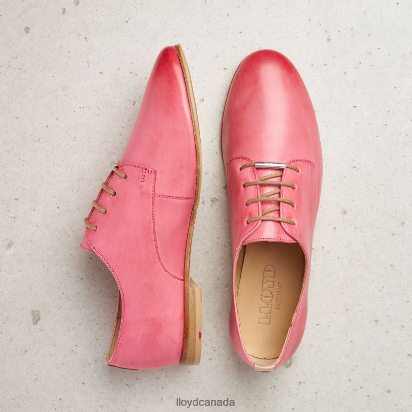LACE SMOOTH LEATHER HALF SHOES LLOYD Women pink R084ZF1093 Shoes