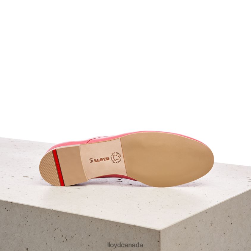 LACE SMOOTH LEATHER HALF SHOES LLOYD Women pink R084ZF1093 Shoes