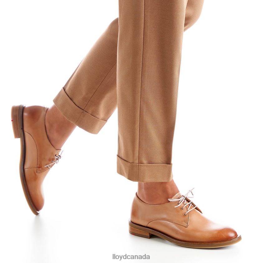 LACE UP HALF SHOES LLOYD Women brown R084ZF1056 Shoes