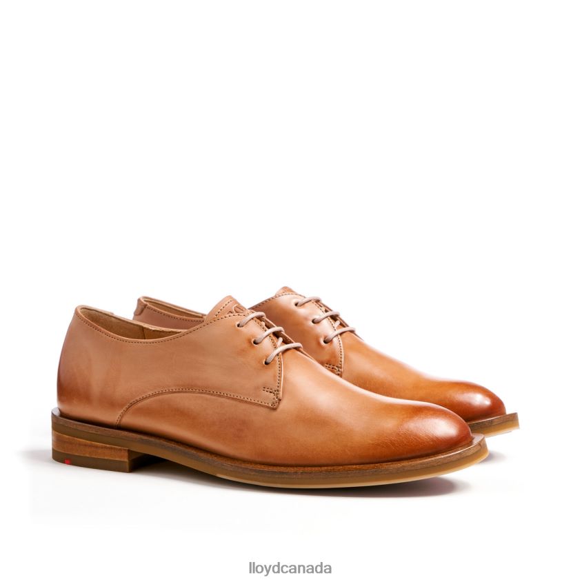 LACE UP HALF SHOES LLOYD Women brown R084ZF1056 Shoes