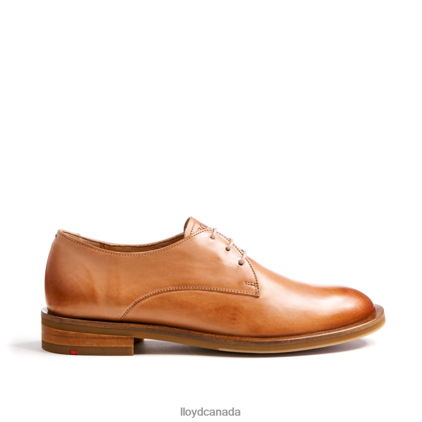 LACE UP HALF SHOES LLOYD Women brown R084ZF1056 Shoes