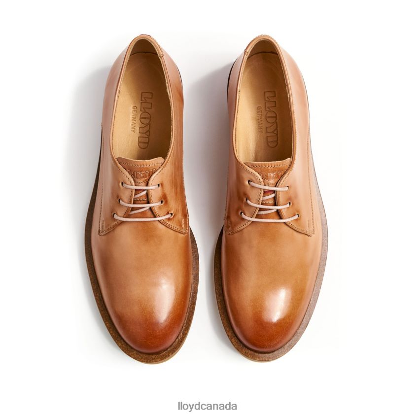 LACE UP HALF SHOES LLOYD Women brown R084ZF1056 Shoes