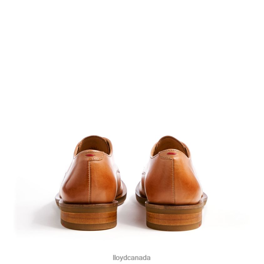 LACE UP HALF SHOES LLOYD Women brown R084ZF1056 Shoes