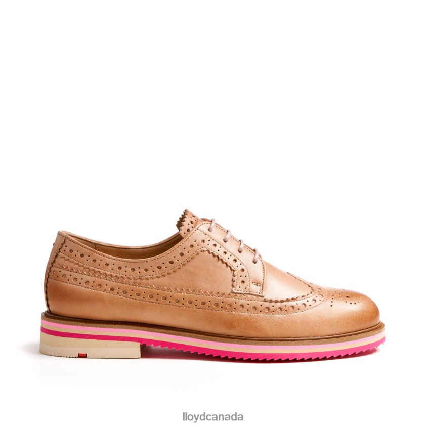 LACE UP HALF SHOES LLOYD Women brown R084ZF1063 Shoes