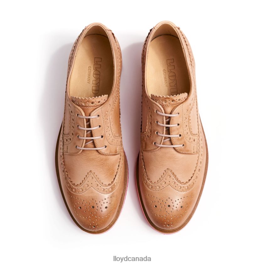 LACE UP HALF SHOES LLOYD Women brown R084ZF1063 Shoes