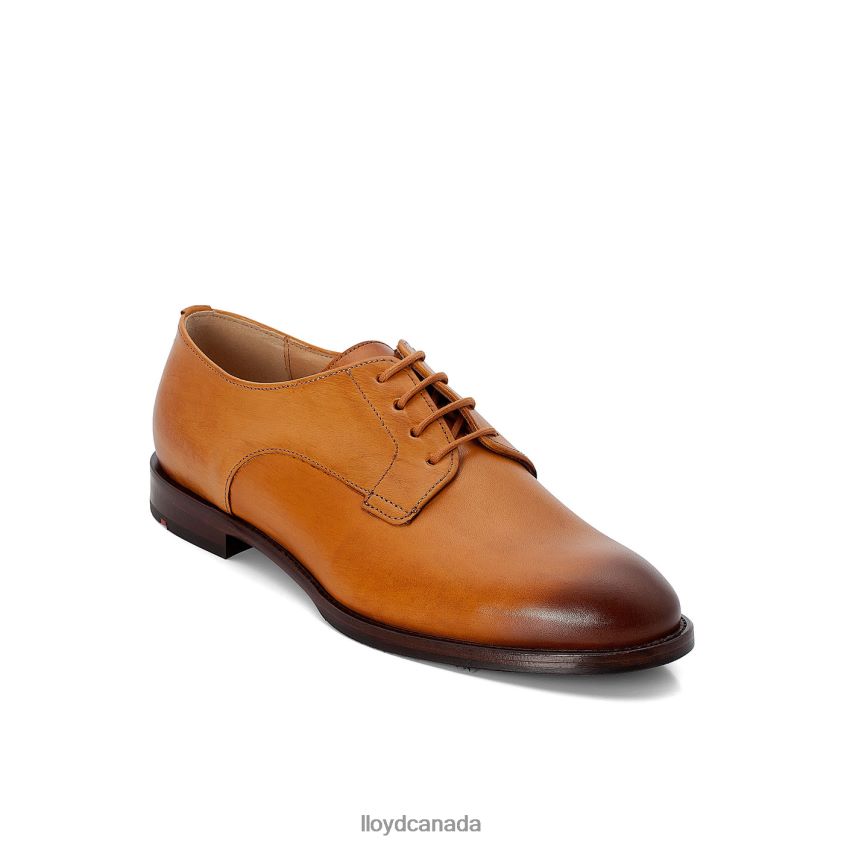 LACE UP HALF SHOES LLOYD Women brown R084ZF1090 Shoes