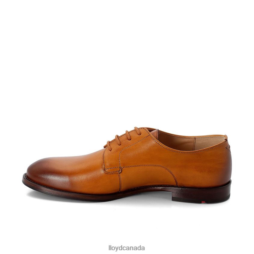 LACE UP HALF SHOES LLOYD Women brown R084ZF1090 Shoes
