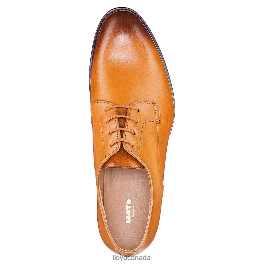 LACE UP HALF SHOES LLOYD Women brown R084ZF1090 Shoes