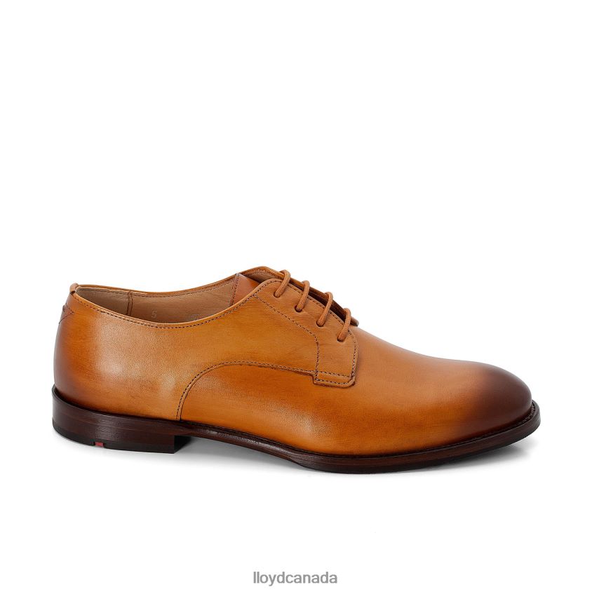LACE UP HALF SHOES LLOYD Women brown R084ZF1090 Shoes