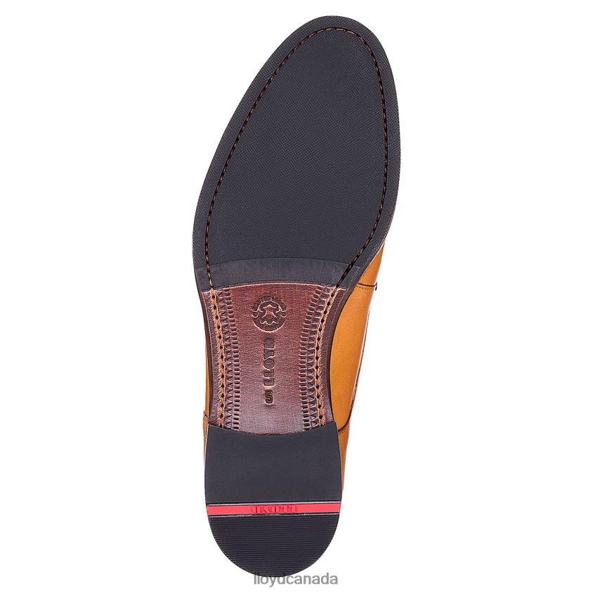 LACE UP HALF SHOES LLOYD Women brown R084ZF1090 Shoes