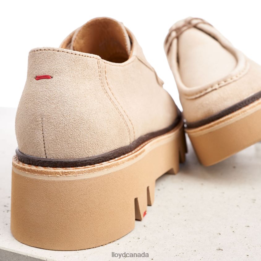 LACE UP SLIPPER LLOYD Women beige R084ZF1060 Shoes