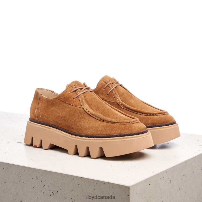 LACE UP SLIPPER LLOYD Women brown R084ZF1038 Shoes