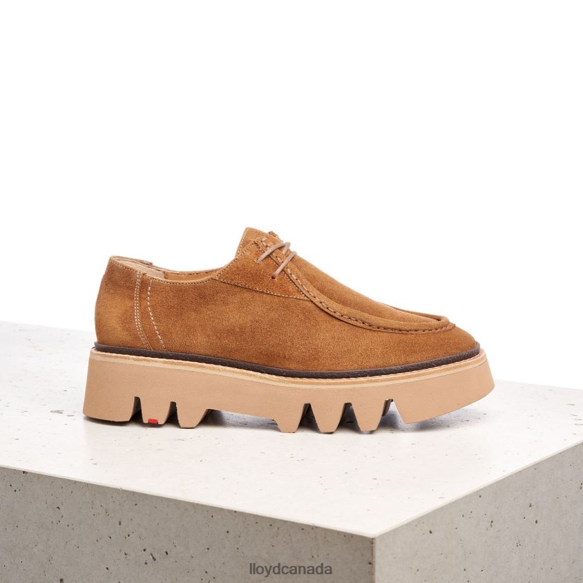 LACE UP SLIPPER LLOYD Women brown R084ZF1038 Shoes