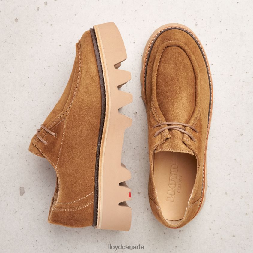 LACE UP SLIPPER LLOYD Women brown R084ZF1038 Shoes