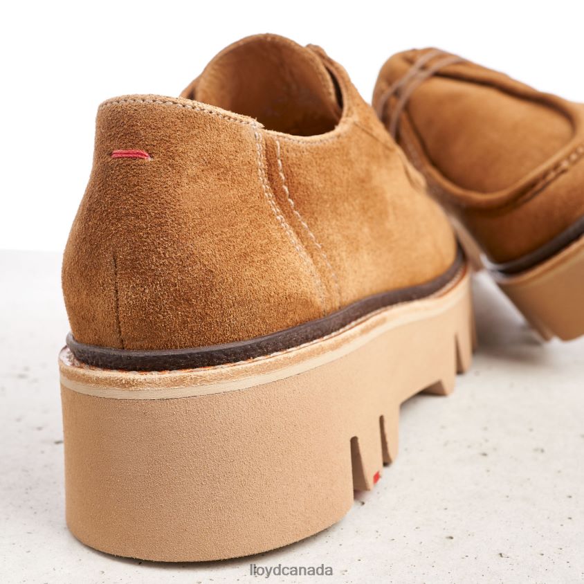 LACE UP SLIPPER LLOYD Women brown R084ZF1038 Shoes