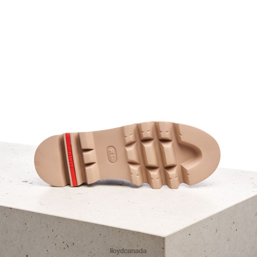 LACE UP SLIPPER LLOYD Women brown R084ZF1038 Shoes