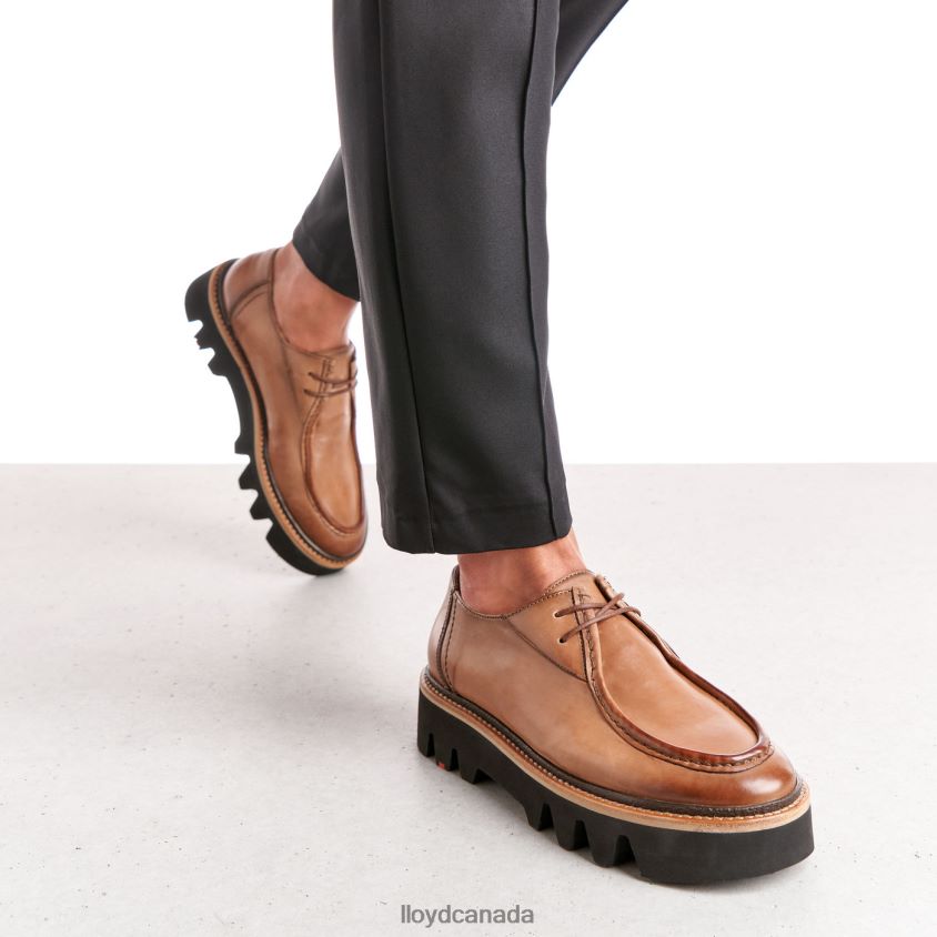 LACE UP SLIPPER LLOYD Women brown R084ZF1358 Shoes