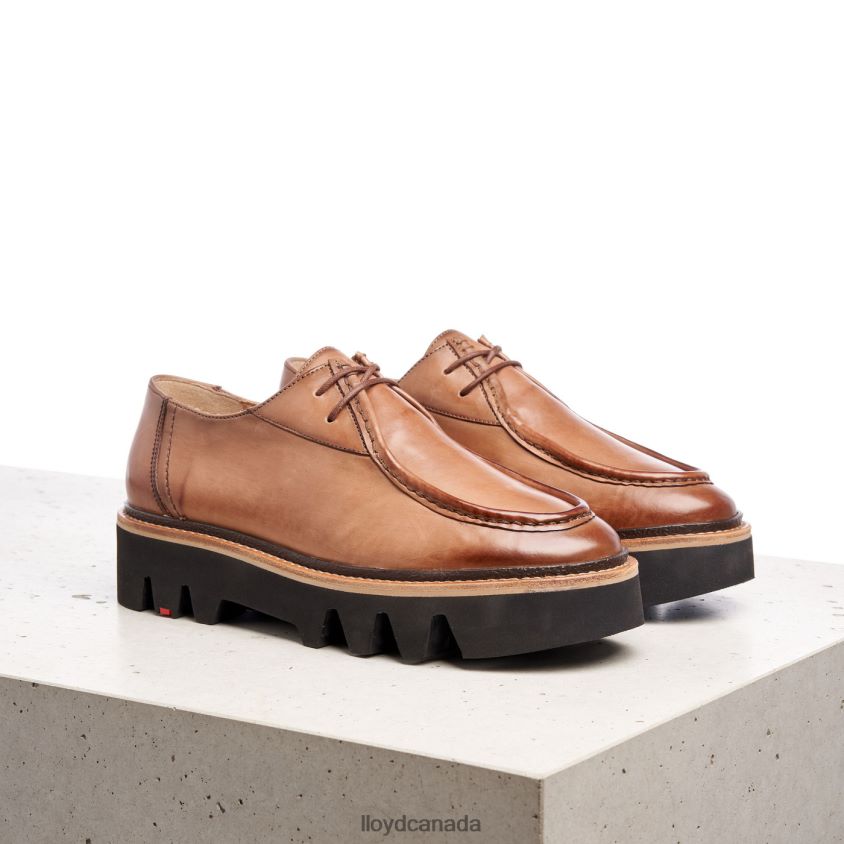 LACE UP SLIPPER LLOYD Women brown R084ZF1358 Shoes