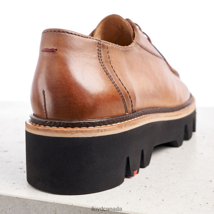 LACE UP SLIPPER LLOYD Women brown R084ZF1358 Shoes