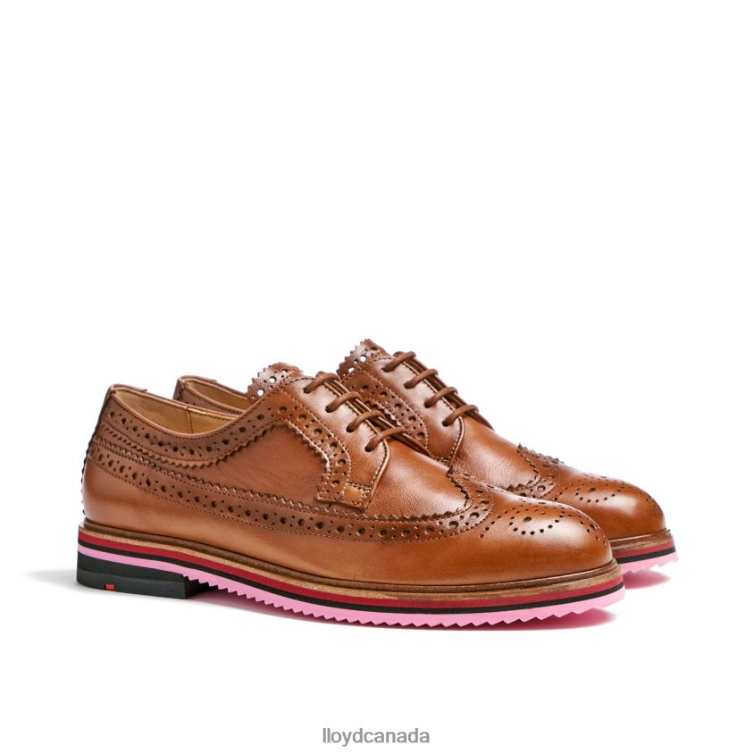 LEATHER LACE HALF SHOES LLOYD Women brown R084ZF1048 Shoes