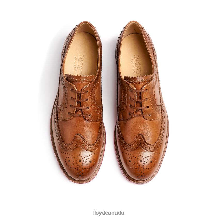 LEATHER LACE HALF SHOES LLOYD Women brown R084ZF1048 Shoes