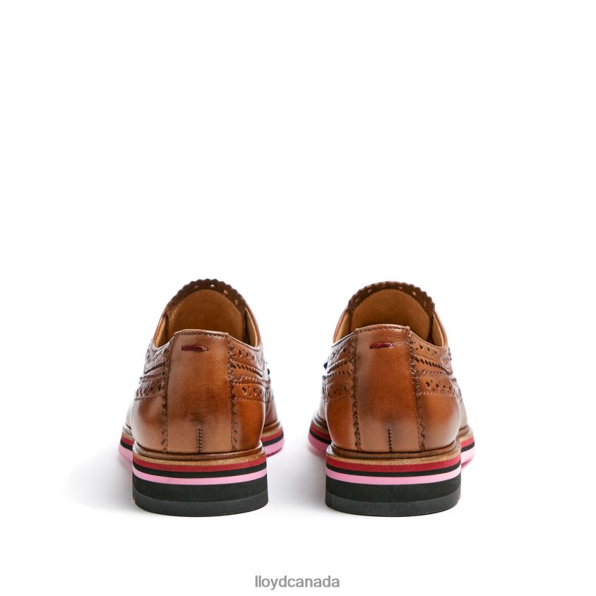 LEATHER LACE HALF SHOES LLOYD Women brown R084ZF1048 Shoes