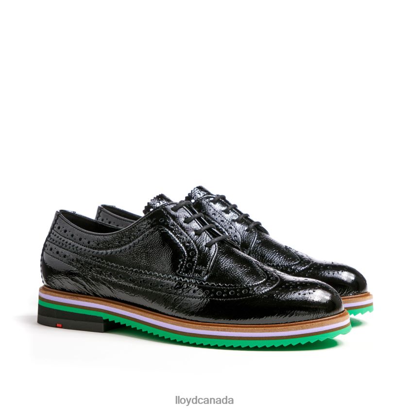 ROGH LEATHER LACE HALF SHOES LLOYD Women black R084ZF1068 Shoes