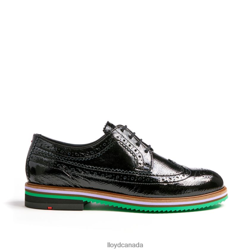 ROGH LEATHER LACE HALF SHOES LLOYD Women black R084ZF1068 Shoes