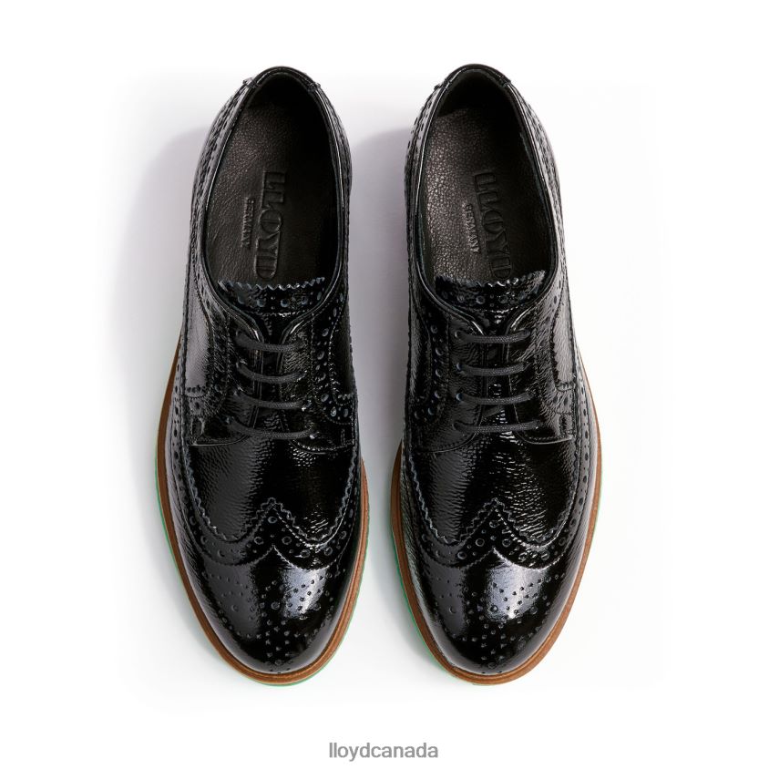 ROGH LEATHER LACE HALF SHOES LLOYD Women black R084ZF1068 Shoes