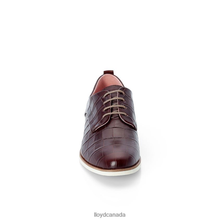 ROGH LEATHER LACE HALF SHOES LLOYD Women brown R084ZF1091 Shoes
