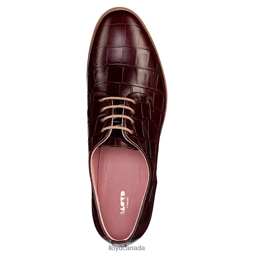ROGH LEATHER LACE HALF SHOES LLOYD Women brown R084ZF1091 Shoes